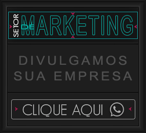 Setor de Marketing - acompanhantes santa cruz do capibaribe, garotas de programa em santa cruz do capibaribe, acompanhante de luxo santa cruz do capibaribe | COELHINHAS DO BRASIL